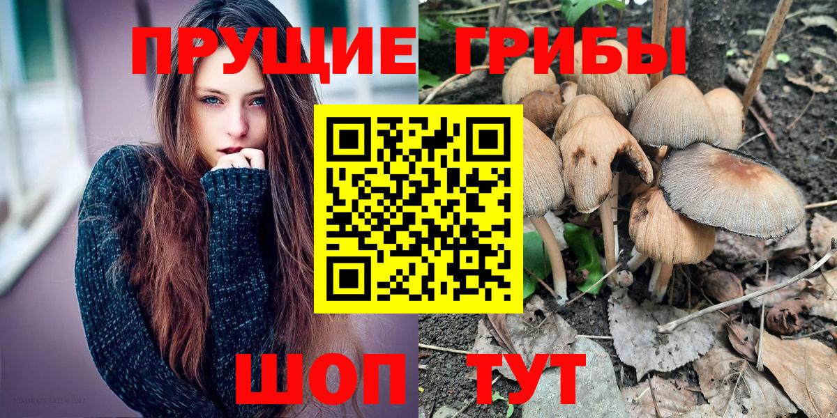 Галлюциногенные грибы Psilocybine cubensis  Вход с VPN  Кувандык 